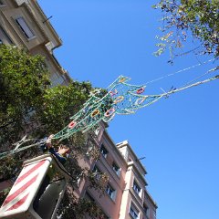 IMG 118